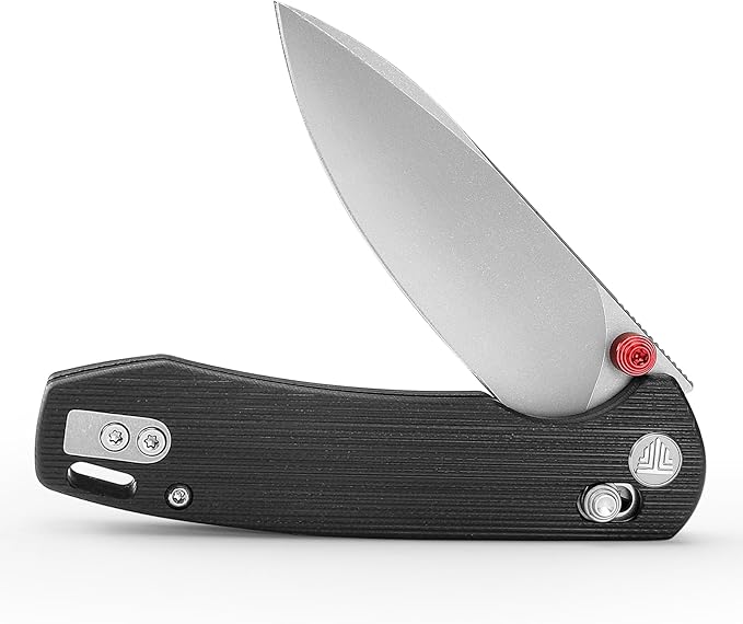 EDC Folding Pocket knife with Clip for Men,Thumb Studs Crossbar Lock Knives with 2.99" 14C28N Steel Blade, G10 Handle for Camping Hiking,Dragonfly-B