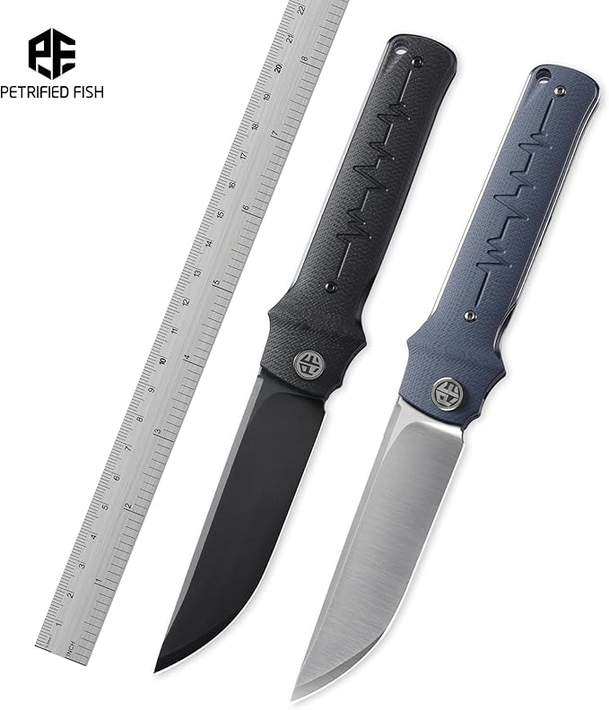 Petrified fish PFB04 Tena Folding Knife, 3.82" D2 Steel Black Stonewashed Blade G10 Handle Pocket Folding knife for EDC Camping Outdoor (Black Black Stonewashed)
