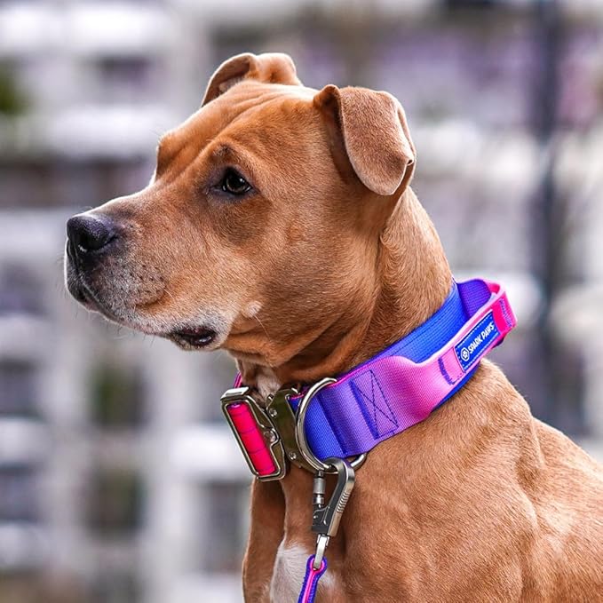 Spark Paws Tactical Dog Collar with Handle - Premium Quality Collar, Robust and Durable Design for Large, Strong Breeds - Pitbulls, Labradors, GSD - Snow Cone - M - 1.5"