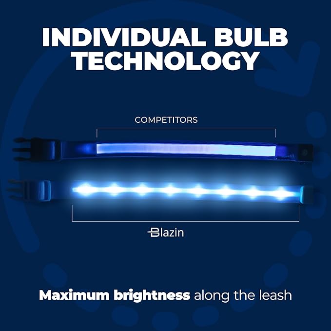 BLAZIN Light Up Dog Leash LED - 1,000 Feet of Visibility - USB Rechargeable Waterproof Glow in The Dark Dog Leash - 4 Foot, Light Blue