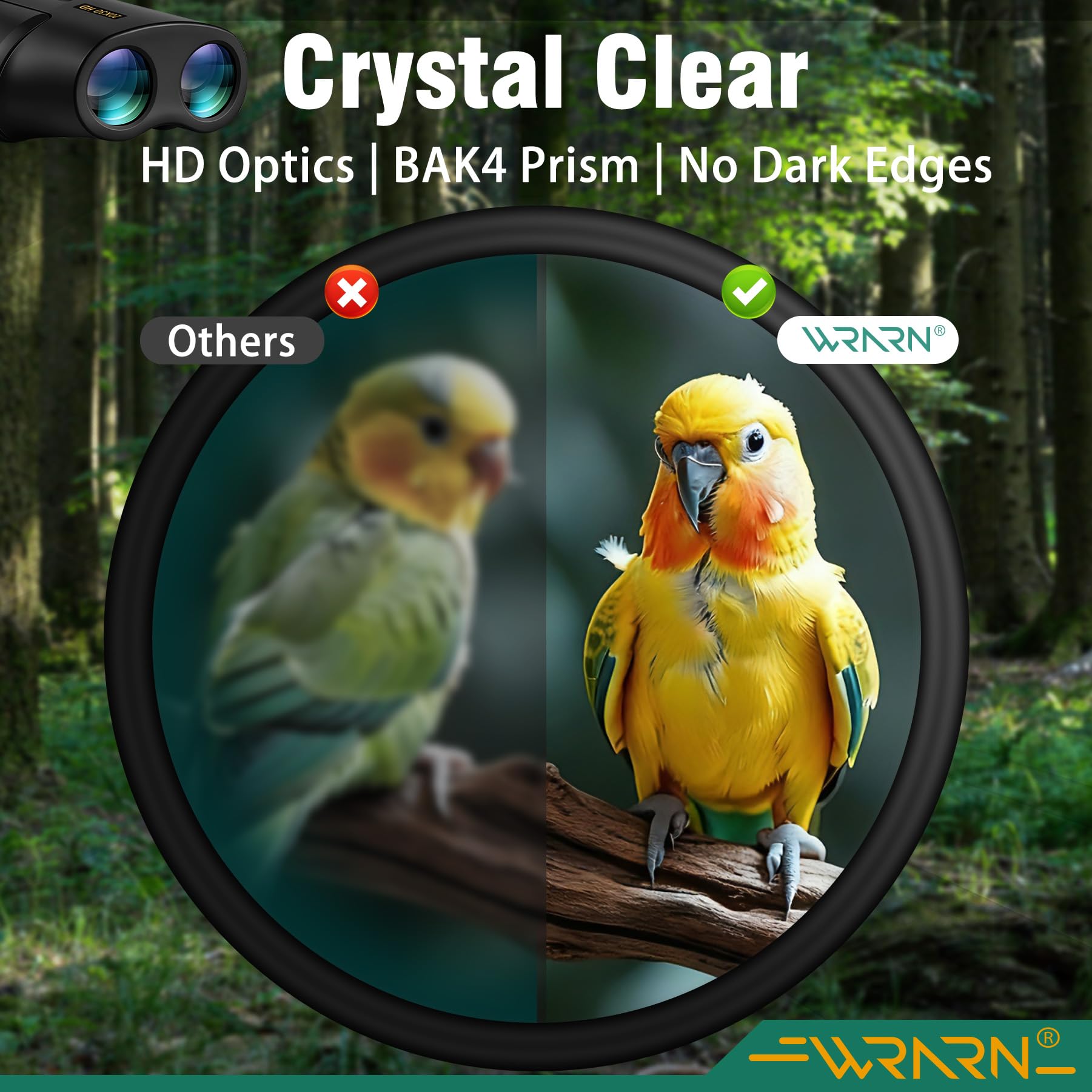 20X30 Compact Binoculars for Adults Bird Watching Travel, Black