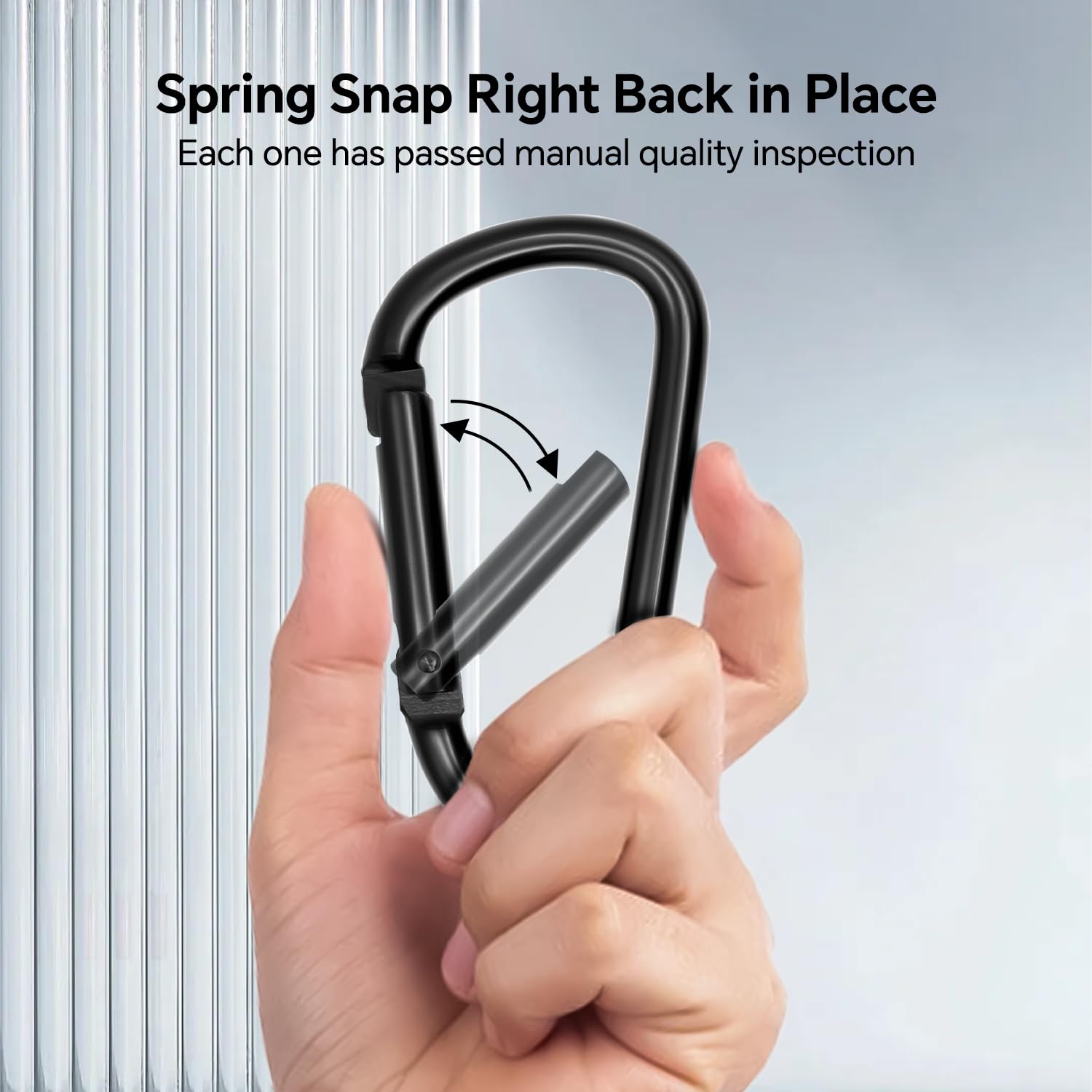 Small Carabiner Clip 6PCS Black Carabiner Keychain Mini 2 inch Large 3 inch Heavy Duty Caribeaner