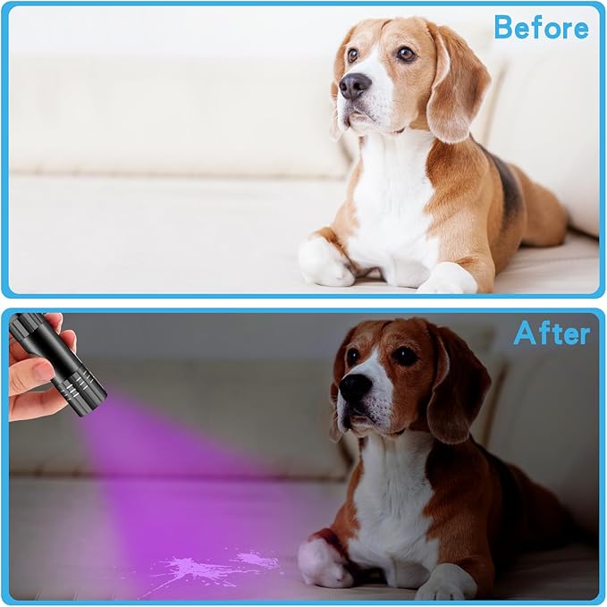 Riakrum 12 Pieces UV Blacklight Flashlights LED Handheld Mini Light Flashlight Small Portable Detector 395nm 9 LED Light for Pet, Carpet Dry Stains Detection, Spot Scorpions, Resin Curing(4 Colors)
