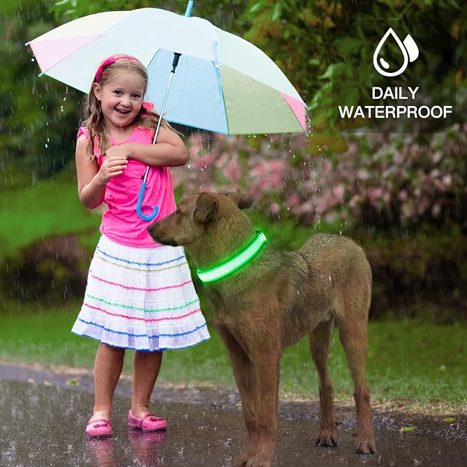 YFbrite Light up Dog Collar, USB Rechargeable LED Puppy Collar Super Bright Adjustable Glowing Dog Lights for Night Walking (Design 2-Green, Small)