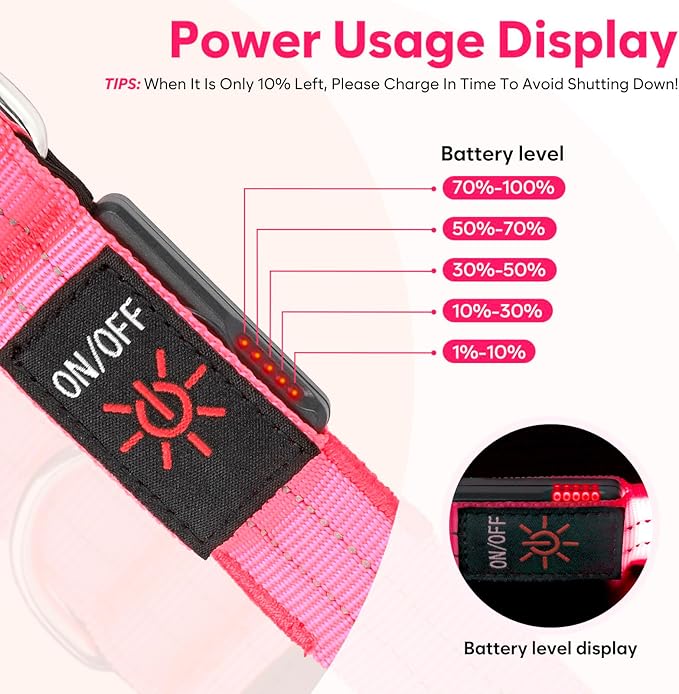 LED Dog Leash, 4 Ft Light Up, USB Rechargeable, Waterproof, Nylon Reflective with Padded Handle, Glow in The Dark for Large, Medium, Small Pets (Pink)