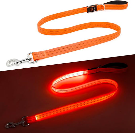 LED Dog Leash, 4 Ft Light Up, USB Rechargeable, Waterproof, Nylon Reflective with Padded Handle, Safety Glow in The Dark for Large, Medium, Small Pets (Orange)