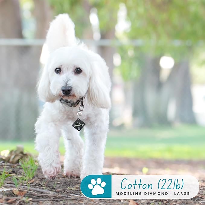 Ultra Joys Dog Tags Personalized for Pets - Hollow Paw Custom Pet ID Tag - Engraved Dog Tag for Small, Large Dogs - Large Diamond in Gold