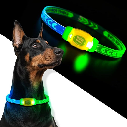 LaRoo LED Light Up Dog Collar, Type-C Rechargeable, Multi-Color Glowing Safety Pet Collar, Cuttable IP67 Waterproof, Night Walk High Visibility Collar Safety Dog Light for Small Medium Dogs (Green)