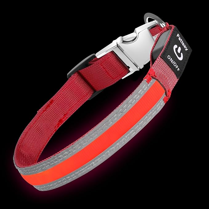 PetIsay LED Dog Collar Metal Buckle - Heavy Duty Light up Collars - Rechargeable IP68 Waterproof - Lighted Dog Collar for Night Walking, Hiking, Camping (Medium, Red)
