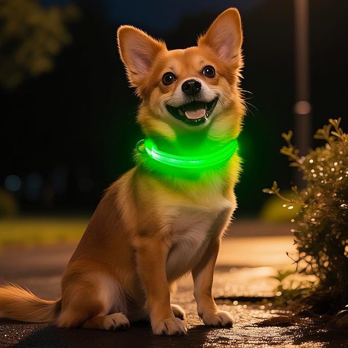 Light Up Dog Collar for Small Dogs - Rechargeable Puppy Collars Glow in The Dark LED Dog Collar Lights for Night Walking（X-Small, Green）
