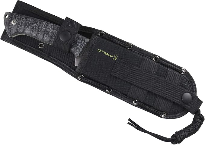 iFIELD Survival Knife Workout MOVA Satin Blade, Includes Sheath, Survival Knife, Camping Tool for Fishing, Hunting, Sport Activity