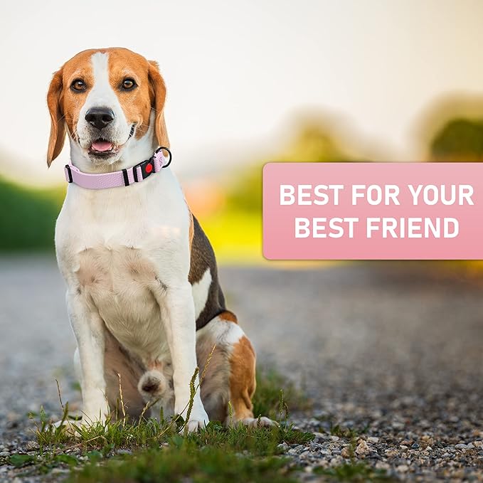 Adjustable Dog Collar with QR Code Dog Tag ID Attached - Made in USA - Honeycomb Waterproof Heavy Duty Dog Collar with Safe Lock Buckle - Odor Proof Pet Collar for Dogs with Strong Zinc D Ring