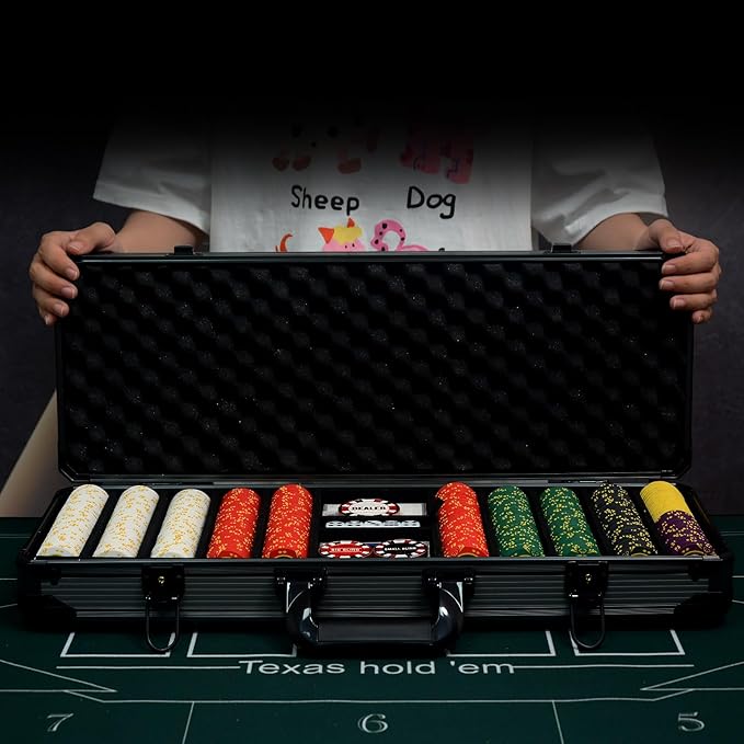 14 Gram Clay Poker Chips Set Texas Hold?™em 500PCS Poker Chips Set Blank Chips with High-End Chip Case and Poker Accessories for Blackjack Poker Games (F 500PCS Blank Chips)
