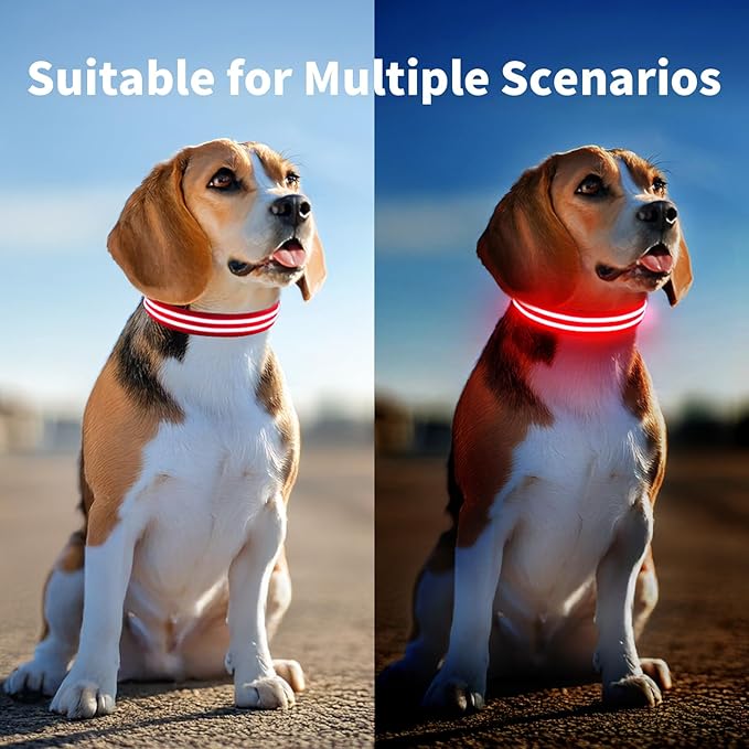 PcEoTllar Lighted Dog Collars for Night, Light Up Dog Collar Rechargeable Water-Resistant Flashing LED Dog Collars Safety Glow in The Dark Dog Collars Light for Large Small Medium Dogs