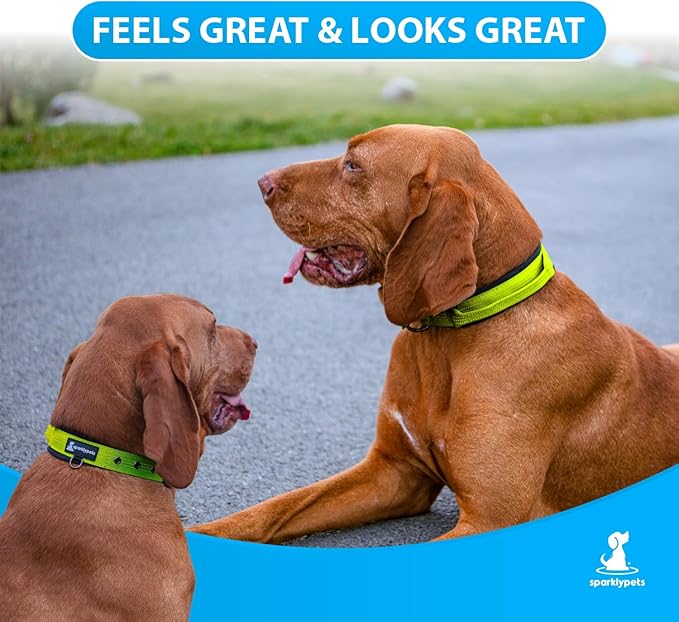 SparklyPets Heavy Duty Dog Collar with Handle for Medium and Large Dogs ??Professional Collar with Reflective Stitches, Soft Handle & Nickel-Plated Buckle (Large (18"~22"), Green)