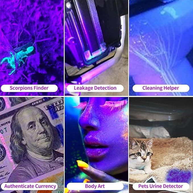 Rechargeable Black Light Flashlight Mini, Blue & UV Black Light, 3 Modes