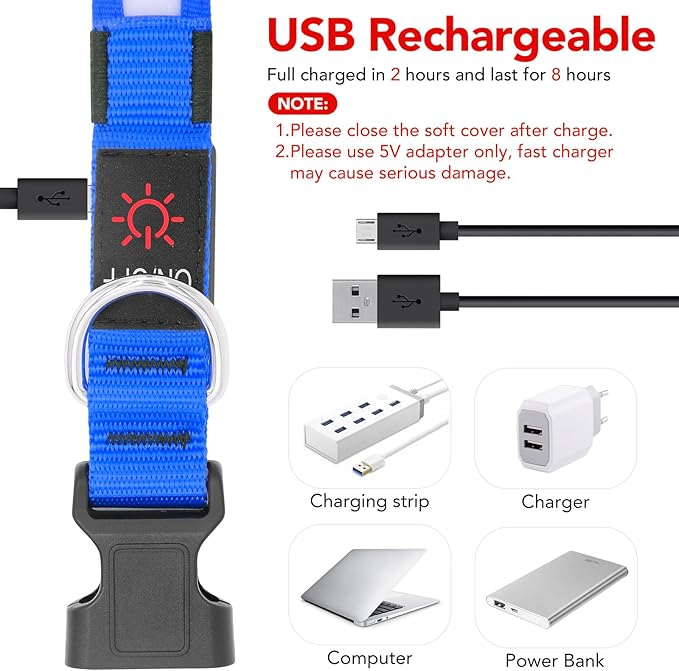 Vizpet LED Dog Collar, Light Up Dog Collar Adjustable USB Rechargeable Super Bright Safety Light Glowing Collars for Dogs(Small,Blue)