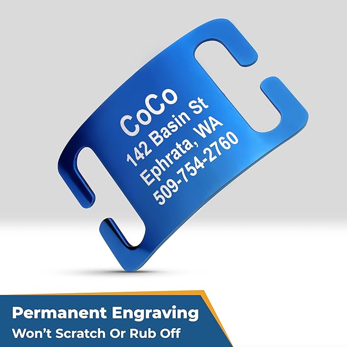 GoTags Reflective Personalized Dog Collar with Nameplate, Adjustable Dog Collar with Custom Engraved Steel Slide On Pet ID Tag, Silent, No Noise Dog Tag for Large Medium or Small (Black, Small)