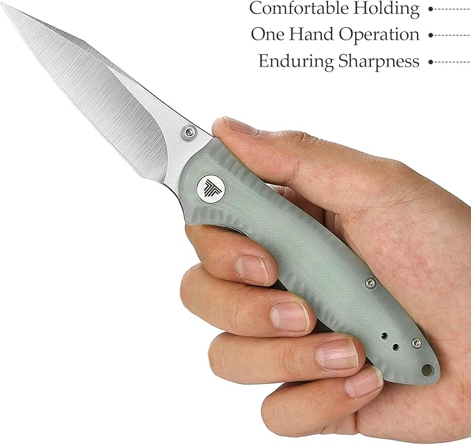 Folding Pocket Knife with Reversible Clip,Front Flipper EDC Knifefor Men,3in 14C28N Thumb Studs Blade, Liner Lock G10 Handle, Outdoor Camping Tool,Delphinus-03（Stonewash + Satin）