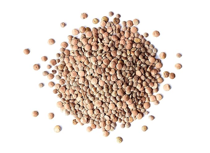 Food to Live - Whole Red Lentils, 5 Pounds Dry Raw Beans, Sproutable, Vegan, Kosher, Bulk. Easy to Cook. Good Source of Folate, Fiber, and Protein. Perfect for Lentil Soup, Stews, and Curry.