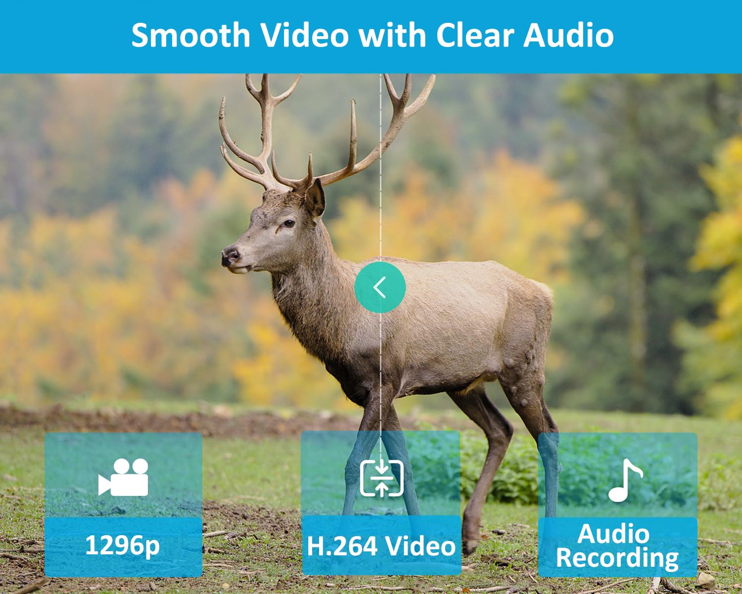 GardePro E5S Trail Camera (Non-Cellular, Non-WiFi), 64MP Photo & 1296P HD Video, 0.1s Trigger