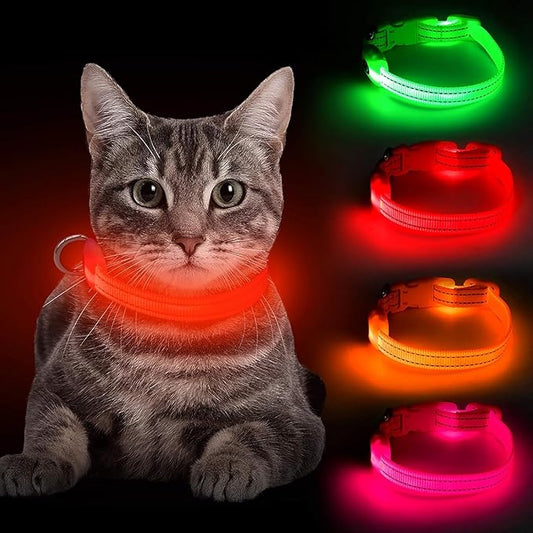 BSEEN Light Up Dog Collar, Reflective LED Dog Collar Rechargeable Glowing Puppy Collars for Small Dogs & Cats, Safety Dog Lights for Night Walking (Red)