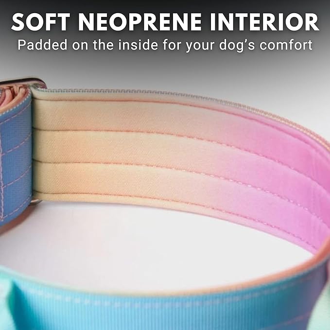 Tactical Dog Collar with Handle - Premium Quality Collar, Robust and Durable Design for Large, Strong Breeds - Pitbulls, Labradors, GSD - Pastel Icing - L