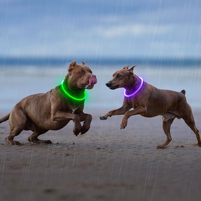 HIGO Light Up Dog Collar, LED Dog Collar for Night Safety with 3 Modes, Type-C Rechargeable & Adjustable TPU Material for Small Medium Large Dogs (Purple)