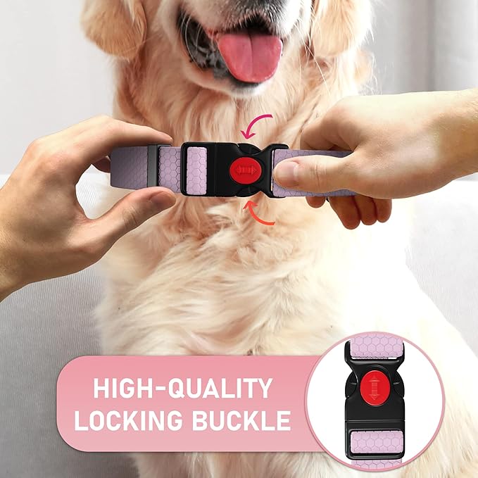 Adjustable Dog Collar with QR Code Dog Tag ID Attached - Made in USA - Honeycomb Waterproof Heavy Duty Dog Collar with Safe Lock Buckle - Odor Proof Pet Collar for Dogs with Strong Zinc D Ring