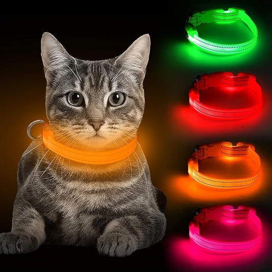 BSEEN Light Up Dog Collar, Reflective LED Dog Collar Rechargeable Glowing Puppy Collar for Puppies & Cats，Safety Dog Lights for Night Walking (Orange)
