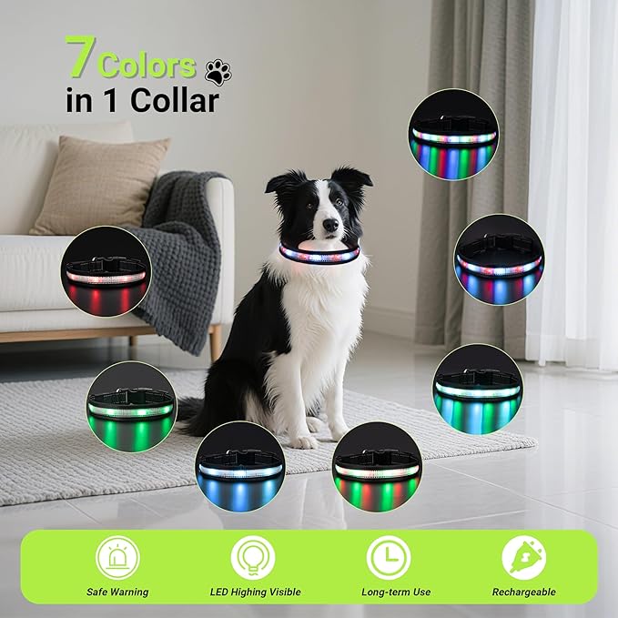 Light Up Dog Collar,Rechargeable Waterproof Led Dog Collar with Remote,Glow in Dark for Night Walking, Fits Small Medium Large Dogs-L