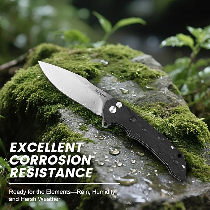 Folding Pocket Knife with Leather Sheath, 3.47" N690Co Premium Steel Blade G10 Handle Knives, EDC Small Folding Knife for Men Women, Outdoor Survival Camping Hiking Knife (Black)