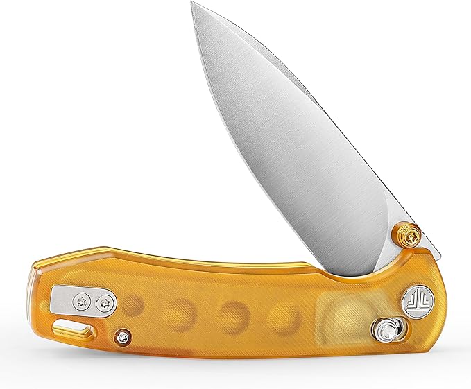 EDC Folding Pocket knife with Clip for Men,Thumb Studs Crossbar Lock Knives with 2.99" 14C28N Steel Blade, Ultem Handle for Camping Hiking,Dragonfly-Y