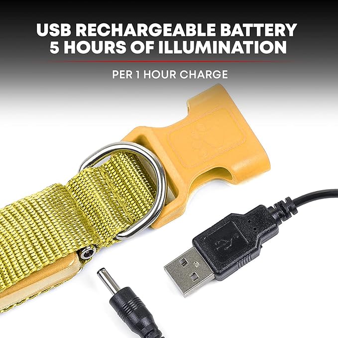 ILLUMISEEN LED Dog Collar USB Rechargeable - Bright & High Visibility Lighted Glow Collar for Pet Night Walking - Weatherproof, in 6 Colors & 6 Sizes (Yellow Large)