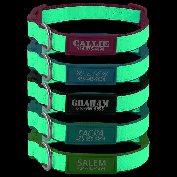 Personalized Dog Collars for Small & Large Dogs with Custom Name and Phone Numbers, Glow in The Dark Adjustable Glowing Luminous Collar(Fluorescent Glow)