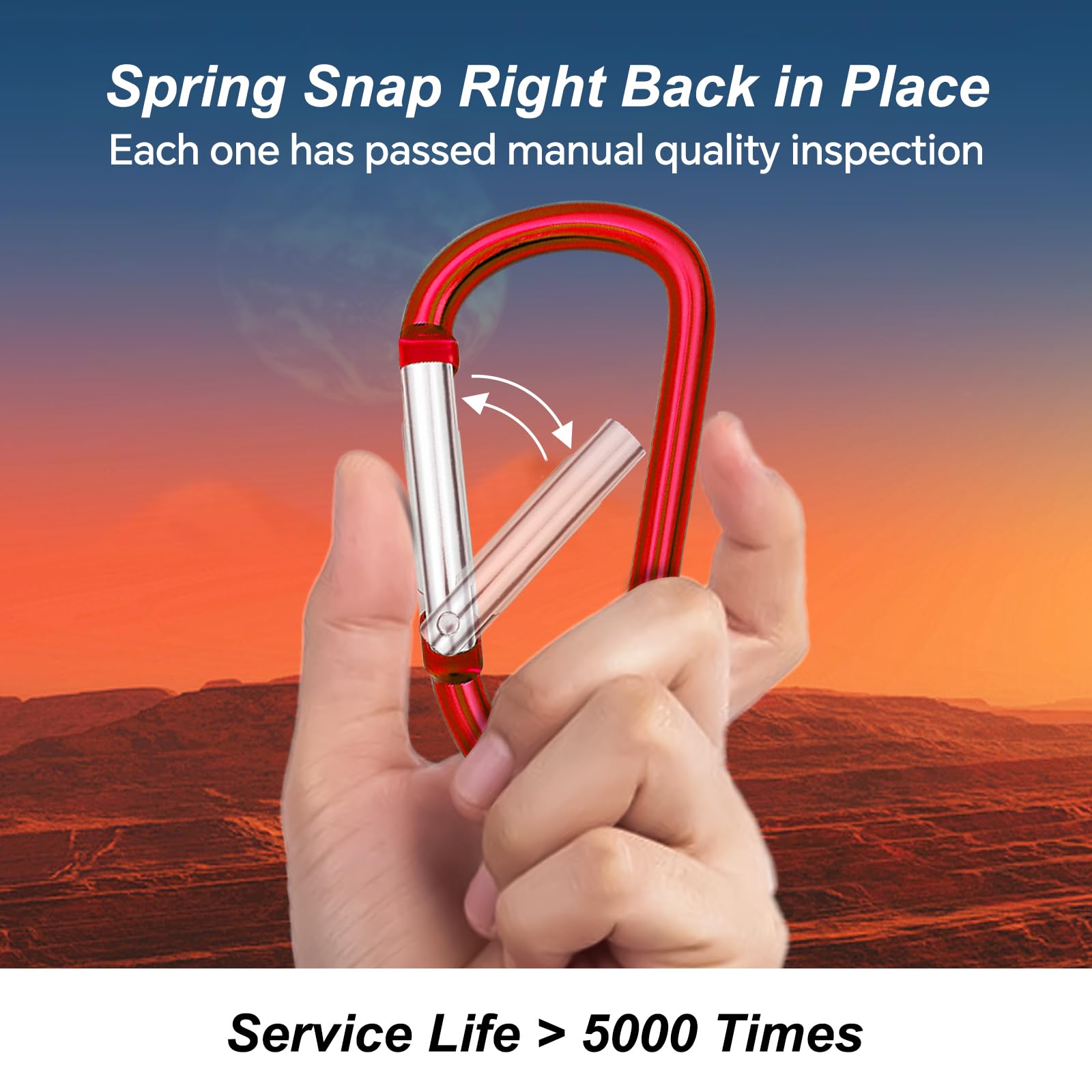 Carabiner Clip Multi Size Pack, Aluminum Carabiner Includes Small 2 Inch Carbineers, Medium 2.3" D