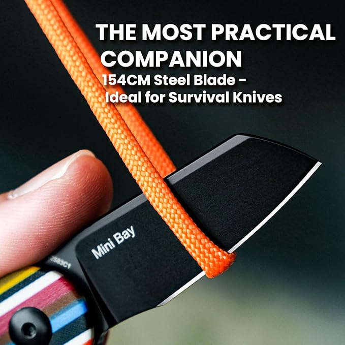 Kizer Serape Series Mini Bay Pocket Knife, 1.9 Inches 154CM Steel Blade EDC Knife, G10 Handle Small Folding Camping Knives Tools V2583C1