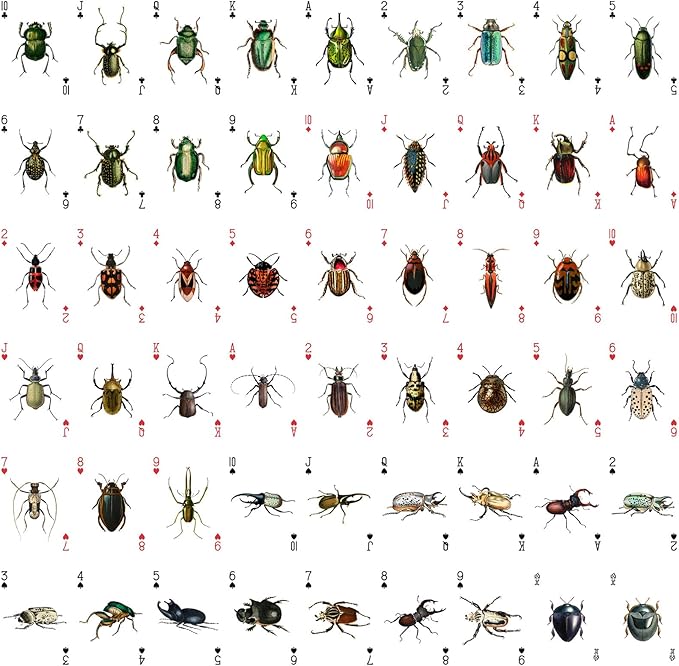 Bugs Kingdom Playing Cards (Poker Deck 54 Cards All Different) Beetles Bugs Entomology Art Creepy Crawlies and Quirky Insect Unique Vintage Illustration Designs