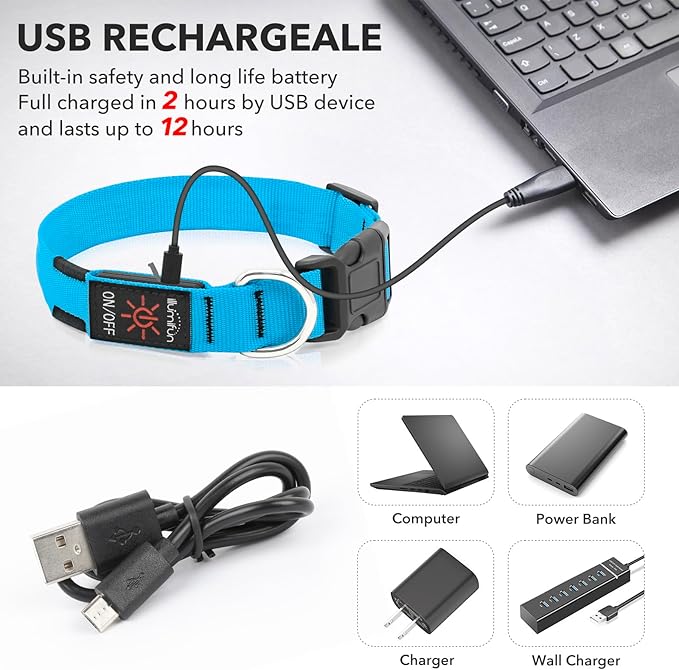 Illumifun LED Dog Collar, USB Rechargeable Light Up Collar Glow in The Dark, Adjustable Safety Pet Light for Your Pups Walking at Night (Blue, Small)