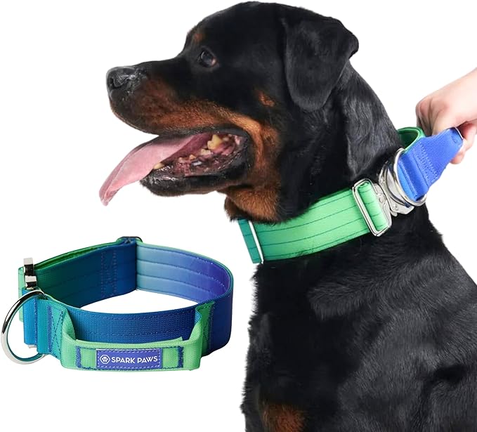 Spark Paws Tactical Dog Collar - Heavy Duty, Premium Quality, Thick and Durable for Large and Medium Dogs - Lime Wave - L - 1.5"