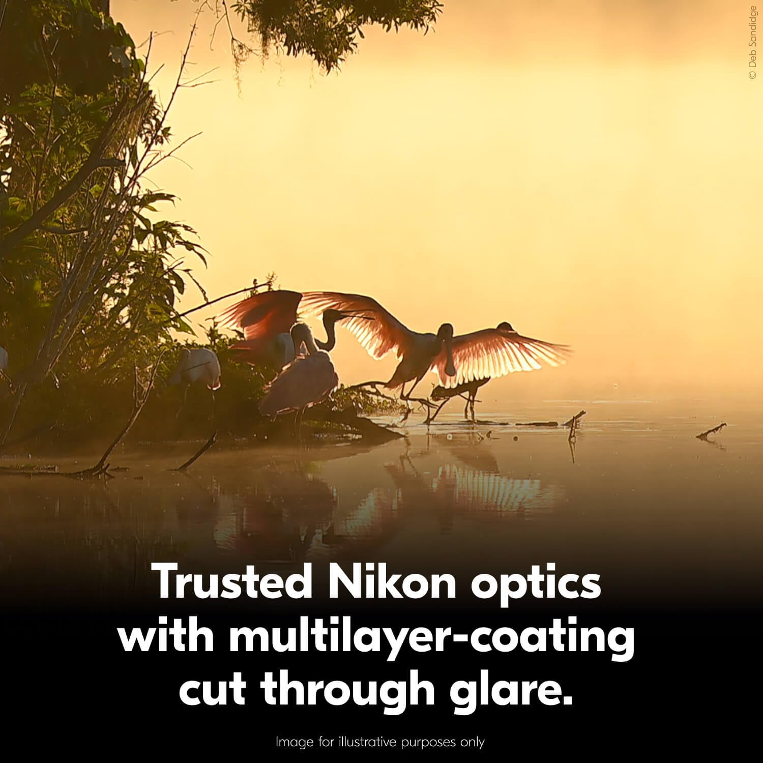 Nikon Trailblazer II 10x25 | Ultra- and Travel Binoculars