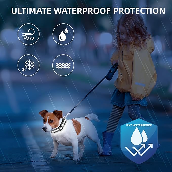 Super Bright LED Dog Collar - Fully Waterproof & Adjustable Glow Collar - USB-C Rechargeable for Night Walking, Safety - Flashing Lighted Collar for Dogs(White,Small)