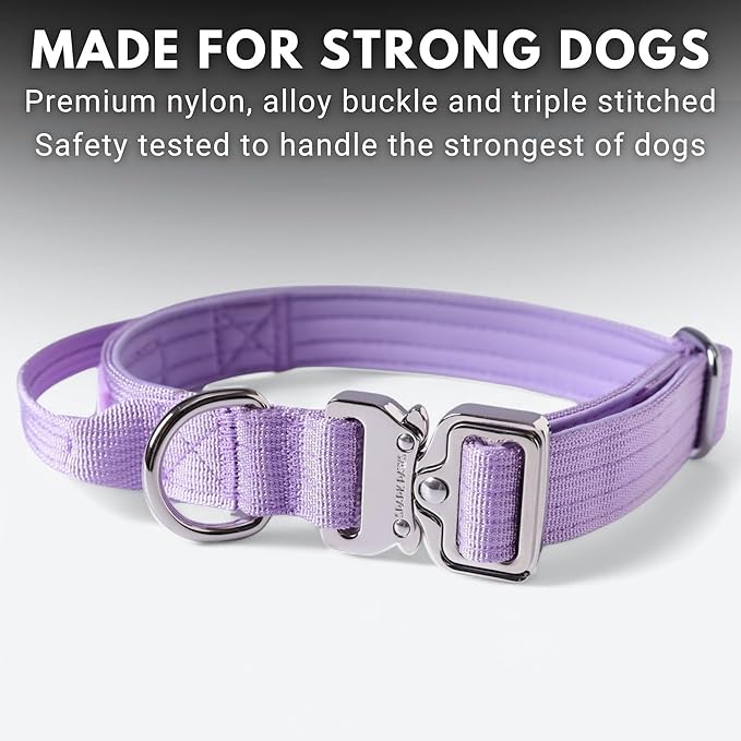 Spark Paws Tactical Dog Collar - Heavy Duty, Premium Quality, Thick and Durable for Large and Medium Dogs - Purple - XS - 1"