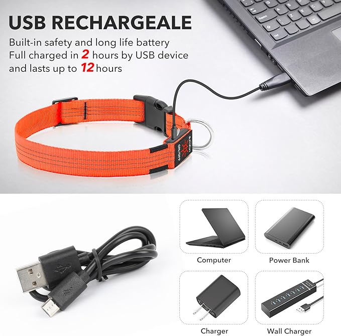 Illumifun Light Up Dog Collar USB Rechargeable LED Dog Collar, Adjustable Blinking Dog Light for Large Dogs (Orange?? Large)