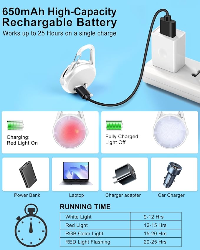 2 Pack Dog Collar Light, Rechargeable Dog Lights for Night Walking Clip On, 4 Modes Waterproof LED Collar Charm for Nighttime Running, Cycling, Pet Camping Essentials (White)
