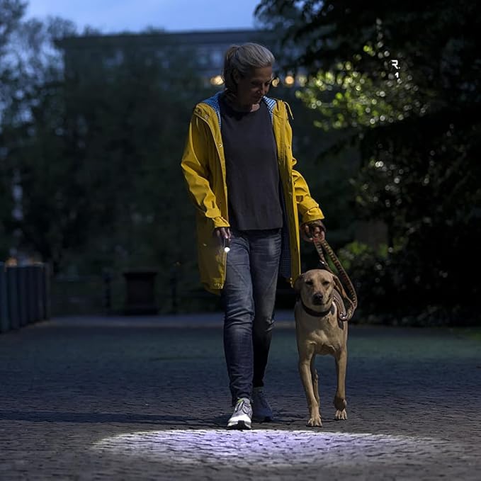 3 Pack LED Rechargeable Flashlight, Super Bright Small Mini Camping Flashlights Zoomable Beam, Convenient USB C Charging for Camping Hiking Outdoor Home Emergency