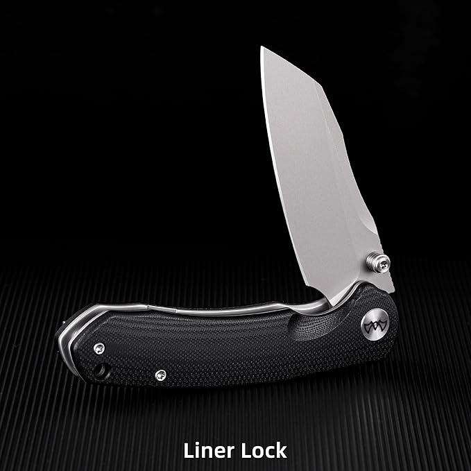 Folding Pocket Knife, 3.35" 14C28N Blade G10 Handle EDC Knife with Liner Lock, Small Pocket Knife with Clip for Men, Sharp Camping Hiking Hunting Survival Knives (Silver)