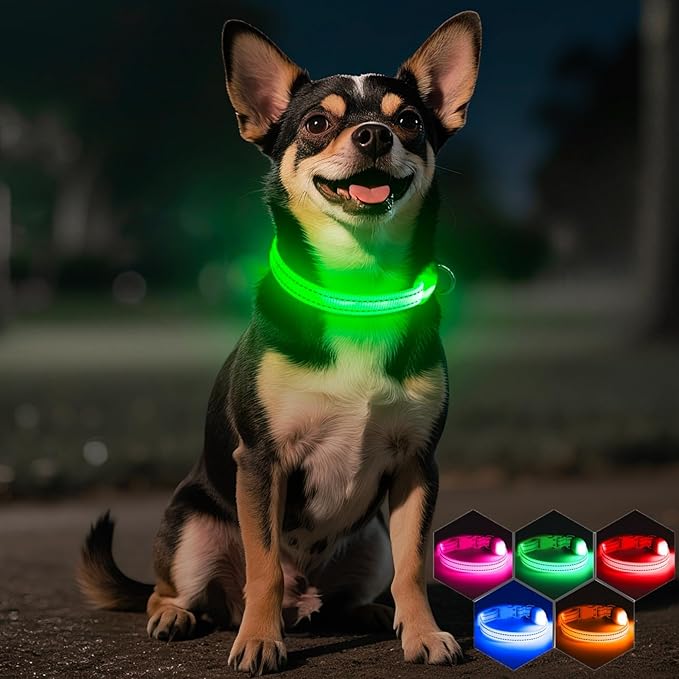 Light Up Dog Collar for Small Dogs - Rechargeable Puppy Collars Glow in The Dark LED Dog Collar Lights for Night Walking（X-Small, Green）