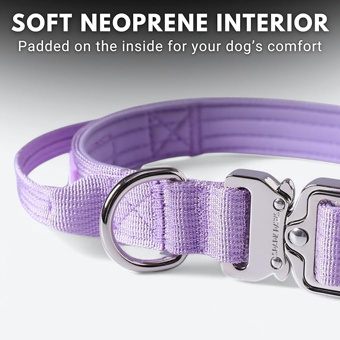 Spark Paws Tactical Dog Collar - Heavy Duty, Premium Quality, Thick and Durable for Large and Medium Dogs - Purple - XS - 1"