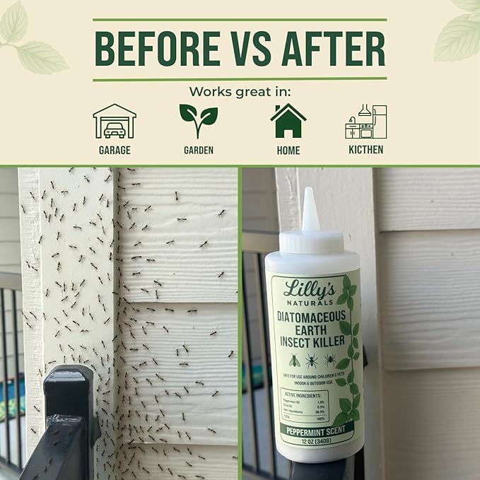 Diatomaceous Earth Food Grade with Peppermint Oil Crawling Insect Killer | Indoor Pest Control Powder for Bed Bug, Roach, Ant, Fleas | Lilly's naturals, 12 fl oz